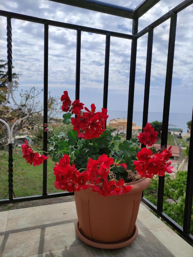 House Theofilos Appartement